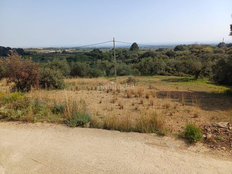 Foto 280edcd4-8702-4843-b2f7-eaea24992329. Finca rústica a Riudecanyes