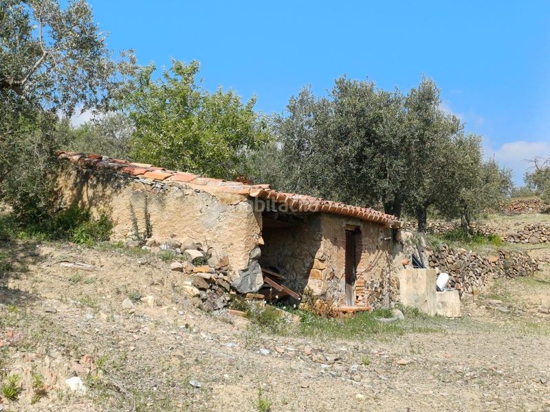 Foto 63f0a3a9-90dc-4fd6-bdb1-6dfee5288ded. Finca rústica a Riudecanyes