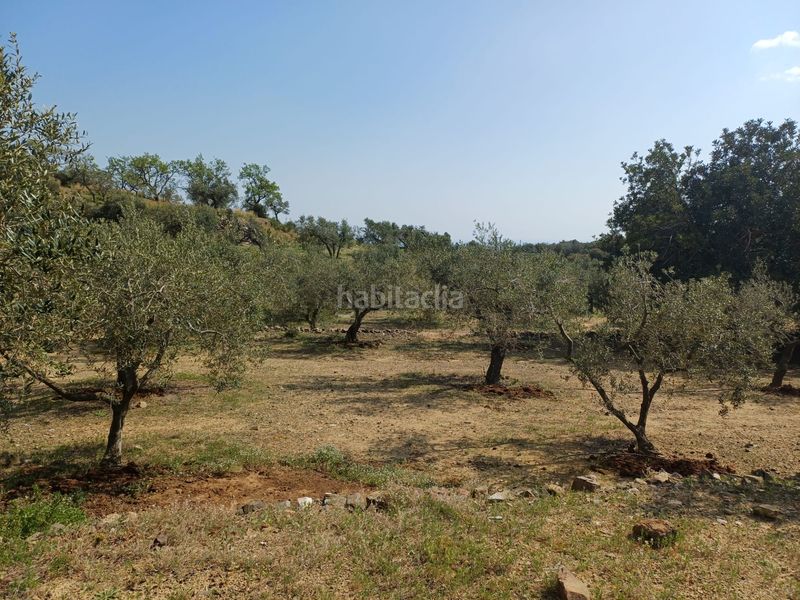 Foto 6b6b2dfa-56a4-48a9-80a4-f5e25ff37021. Finca rústica a Riudecanyes