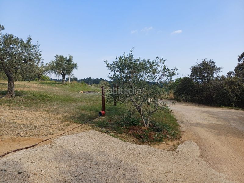 Foto 70d0a53b-7b97-4649-abad-d5a4c78292ed. Finca rústica a Riudecanyes