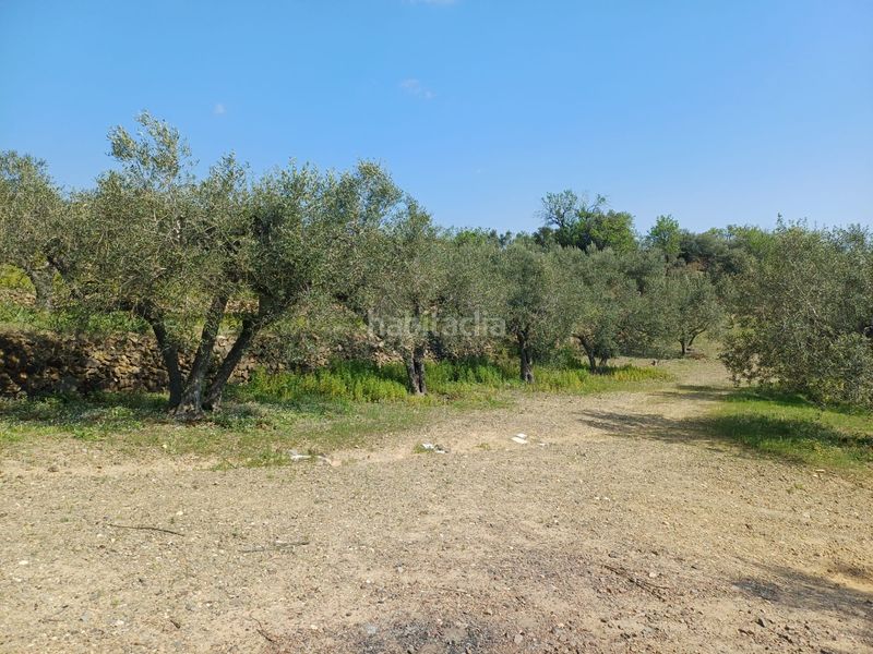 Foto 73c97a9e-b21a-4779-8574-18208439c793. Finca rústica a Riudecanyes