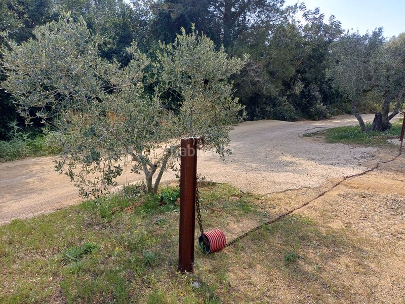 Foto 862bc95d-6dea-4422-92b1-db6d684d5fa9. Finca rústica a Riudecanyes