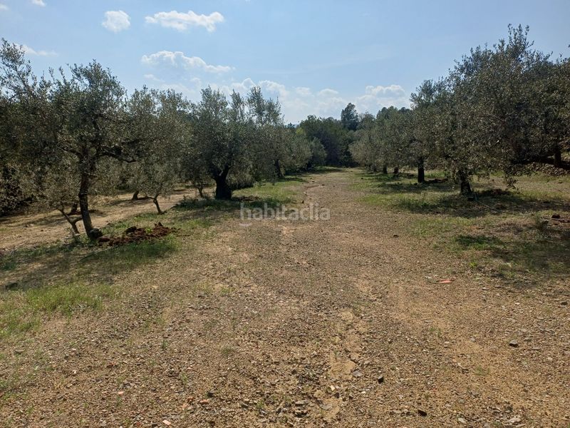 Foto 9b5fac95-564a-4d4d-ae62-7f439326d134. Finca rústica a Riudecanyes