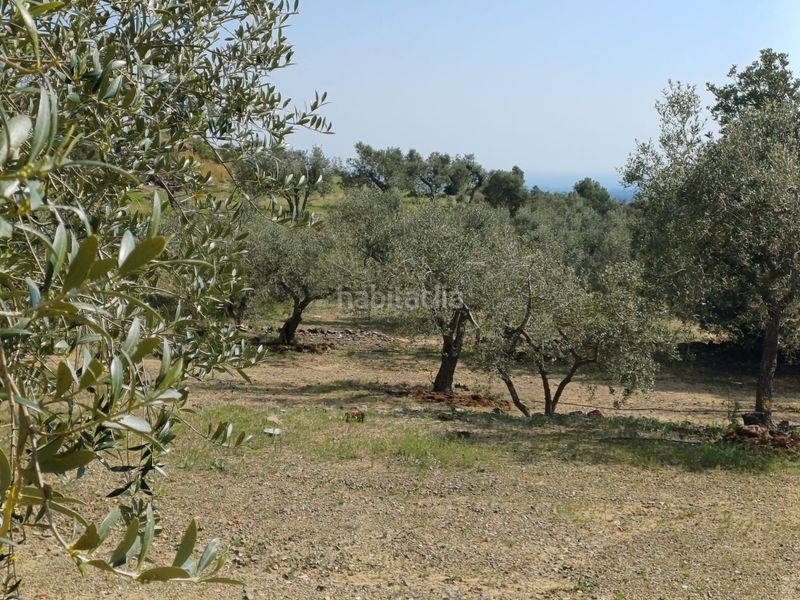 Foto bd54c569-ec7e-4ccf-a075-b52c4c9fb826. Finca rústica a Riudecanyes