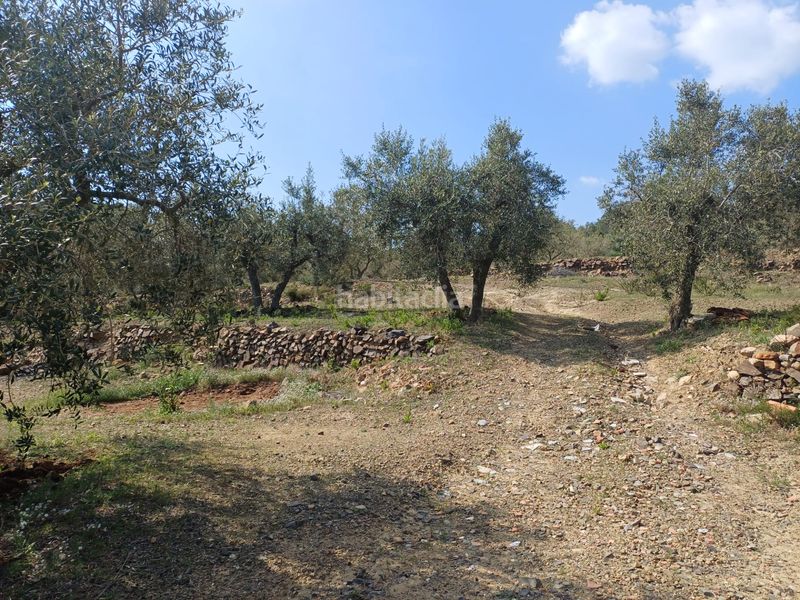 Foto bdc934e0-91c4-4a65-b451-dbcf5998ca3b. Finca rústica a Riudecanyes