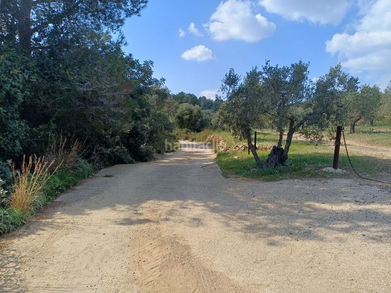 Foto f45ecbb1-12ab-4229-a1db-43d852ff3743. Finca rústica a Riudecanyes