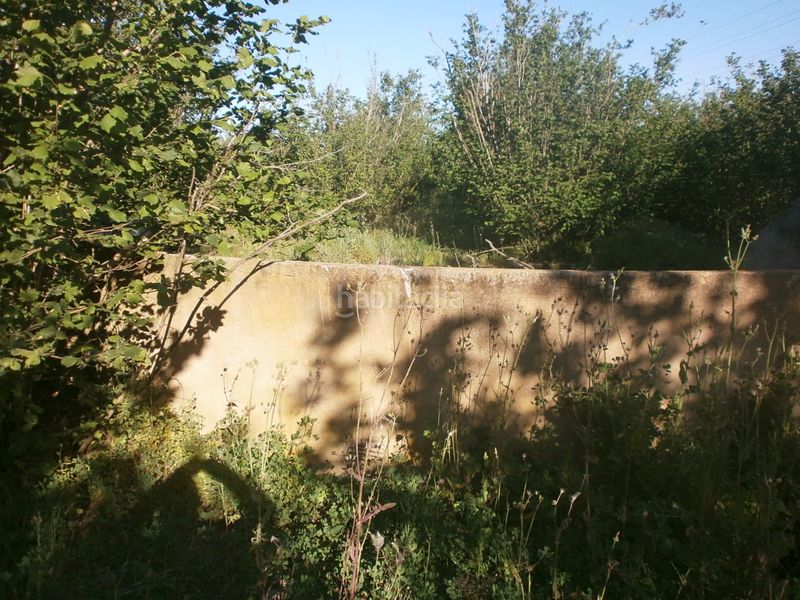 Foto 14c71584-d0f9-4222-bfa9-e78c4eb667b3. Finca rústica a carretera de reus 88 a Alcover