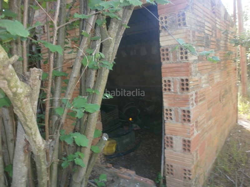 Foto 39d0d6d8-cc2d-4421-ac61-21499ea25adb. Finca rústica a carretera de reus 88 a Alcover