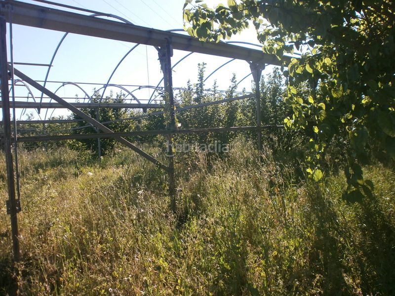 Foto 59440928-93e4-4b72-8993-fc8797c642fc. Finca rústica a carretera de reus 88 a Alcover