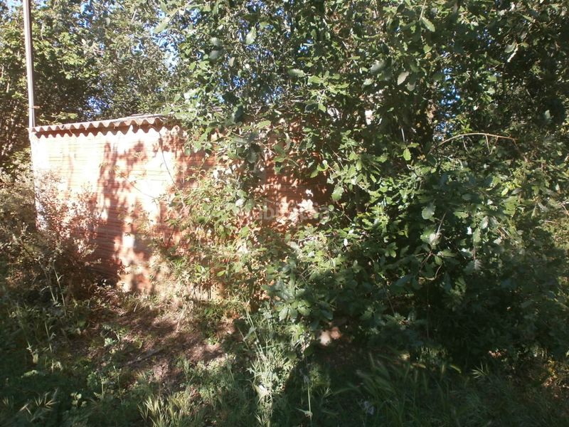Foto 7281c4bd-8fd0-4139-8349-f40569e86632. Finca rústica a carretera de reus 88 a Alcover
