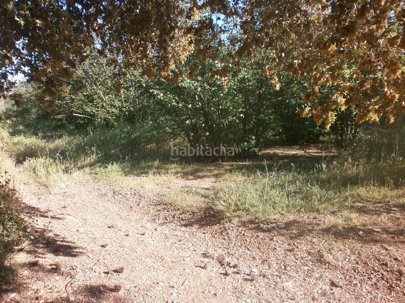 Foto 8e26ec25-9738-46da-8da2-e48042e60cb3. Finca rústica a carretera de reus 88 a Alcover