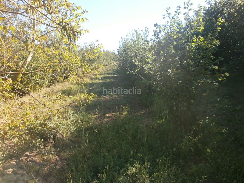 Foto a9422050-6cc8-4e6b-b9ec-e0cef8cb524c. Finca rústica a carretera de reus 88 a Alcover
