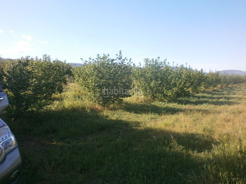 Foto bb53ca86-e03a-40e2-819e-1bbbce8a1f37. Finca rústica a carretera de reus 88 a Alcover