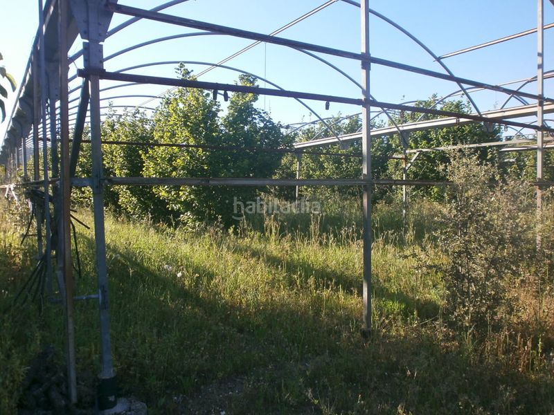 Foto c231598b-2262-4c7f-89ff-ea3868532c34. Finca rústica a carretera de reus 88 a Alcover