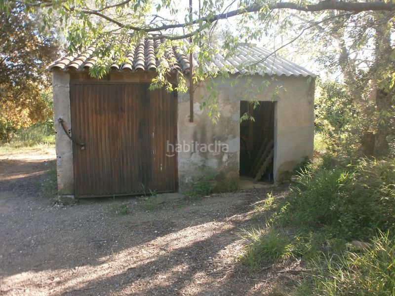 Foto e4724c49-af86-4479-a772-550a606bcf51. Finca rústica a carretera de reus 88 a Alcover