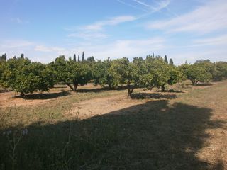 Finca rústica a Vial camino 1