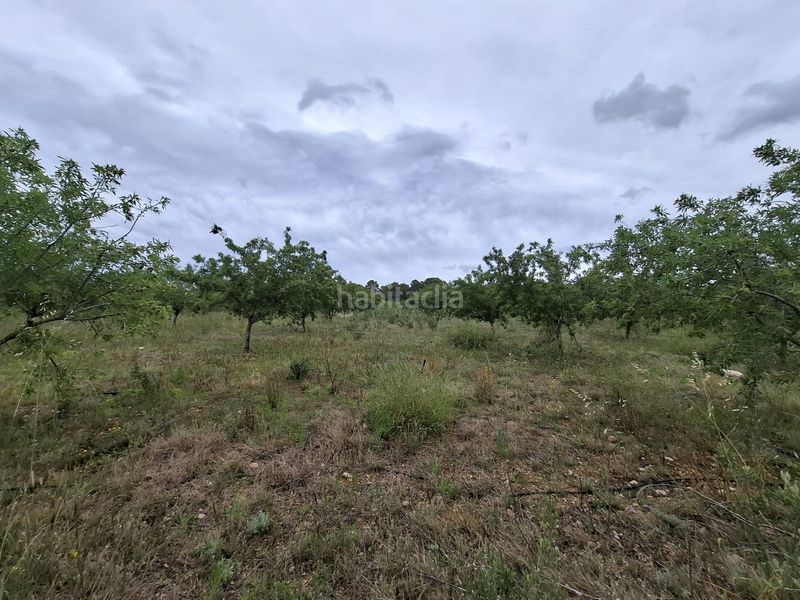 Foto 0137ea23-b5cc-420a-a797-4b33de416a04. Finca rústica a n/a a Poble Mont-roig del Camp