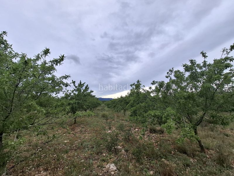 Foto 23ac9397-6097-4d53-b7cb-ecd48d6fe86d. Finca rústica a n/a a Poble Mont-roig del Camp