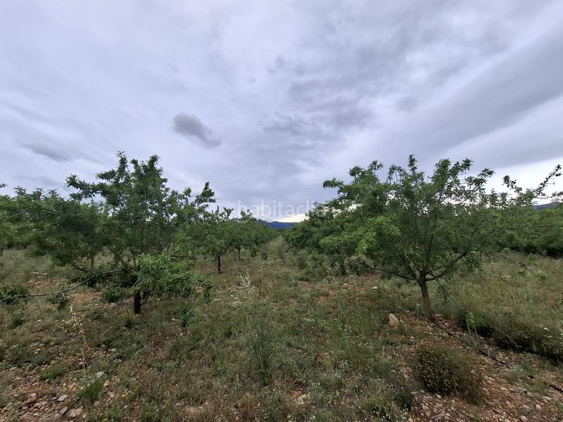 Foto 419b3a41-a59c-4ed1-813d-cb11c2dcccc4. Finca rústica a n/a a Poble Mont-roig del Camp