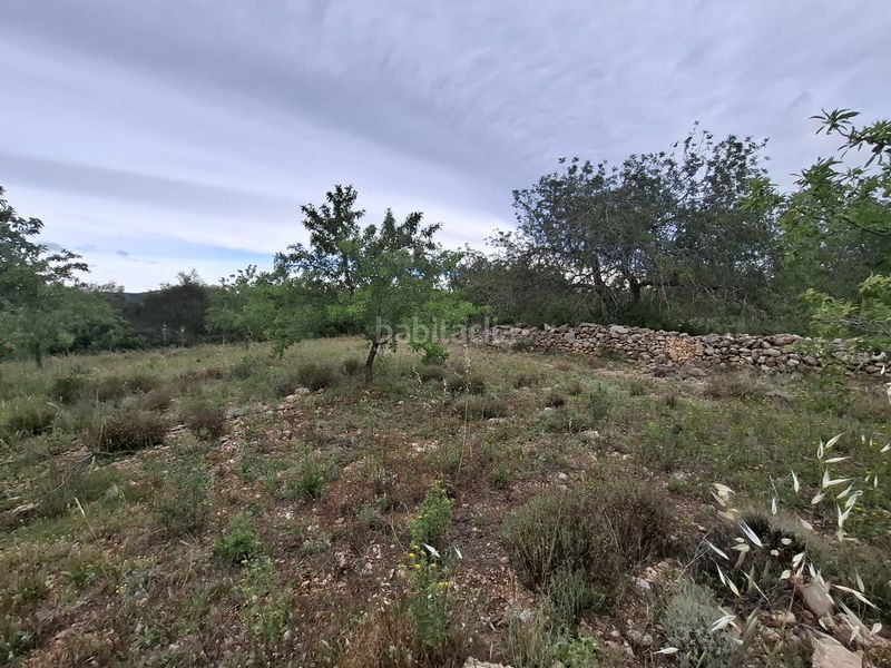 Foto 70fa75f4-b863-4e0c-b7f7-f410e915d376. Finca rústica a n/a a Poble Mont-roig del Camp
