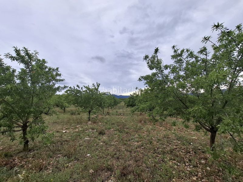 Foto 82ab53b5-3b1a-4ca9-89a7-9b36d0722b4e. Finca rústica a n/a a Poble Mont-roig del Camp
