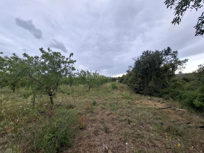 Foto c67facd0-d4c8-43b3-912c-52ec670a7544. Finca rústica a n/a a Poble Mont-roig del Camp