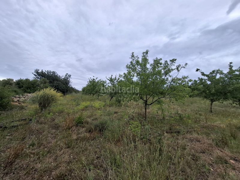 Foto c9776c4b-a94d-4dc8-81fd-6d5310150935. Finca rústica a n/a a Poble Mont-roig del Camp