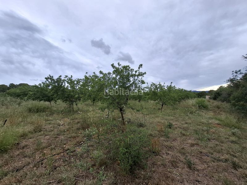 Foto fc27406d-fd77-4e14-8a95-c7a550b3e9ce. Finca rústica a n/a a Poble Mont-roig del Camp