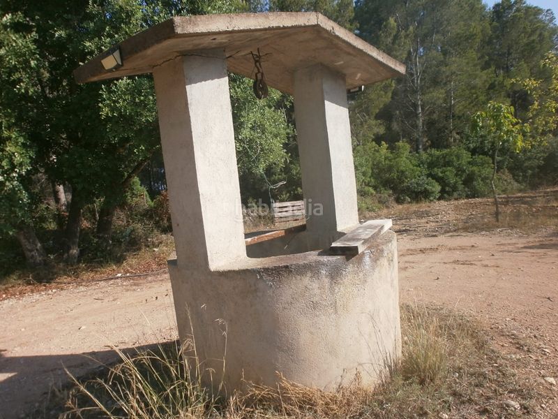 Foto 7ab3a6c6-6885-4213-82fb-97828b047d96. Finca rústica a El Casalot Mont-roig del Camp