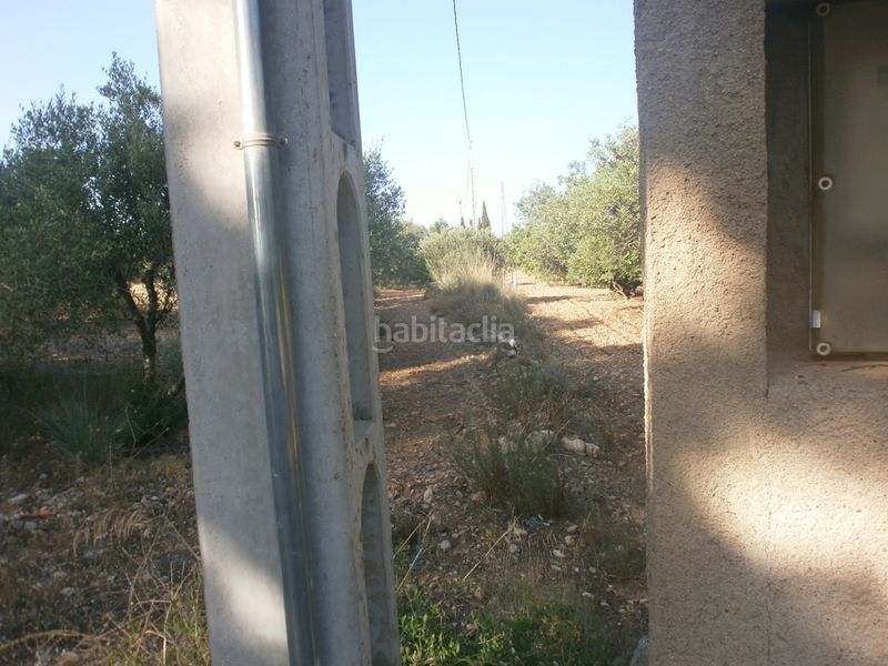 Foto 846349a3-9efb-4676-8788-6e00467994ba. Finca rústica a El Casalot Mont-roig del Camp