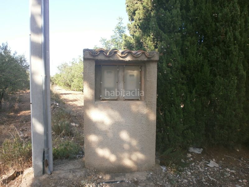 Foto a3de9d6d-d458-4fb5-b415-dd73529d603d. Finca rústica a El Casalot Mont-roig del Camp