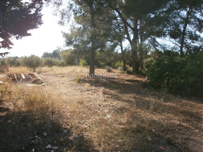 Foto b4e7e017-77e0-466f-b055-940aaccf2dbe. Finca rústica a El Casalot Mont-roig del Camp