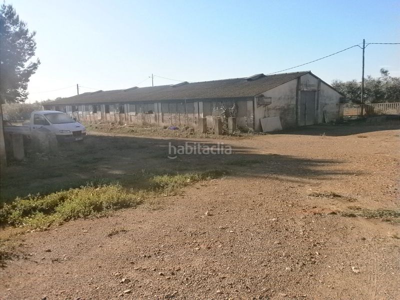 Foto 28b86c79-64b0-4c9c-a076-92393386754d. Finca rústica a Centre Reus