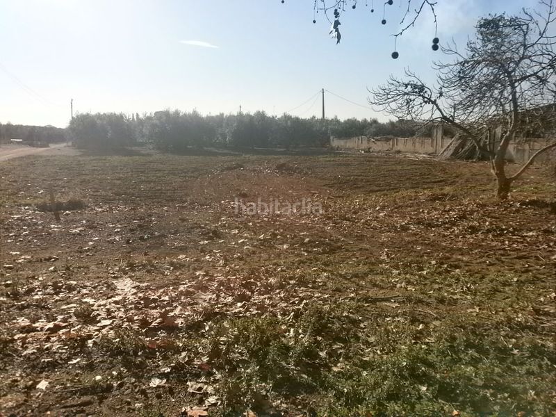 Foto 0f23b830-d15b-4cf3-a939-f860bffeb6ba. Finca rústica en Centre Reus