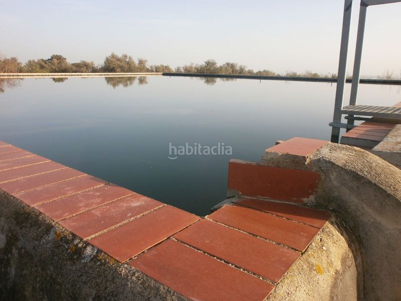 Foto 2f0e6407-a0f7-4390-8028-7528b809aa63. Finca rústica a Castellvell del Camp