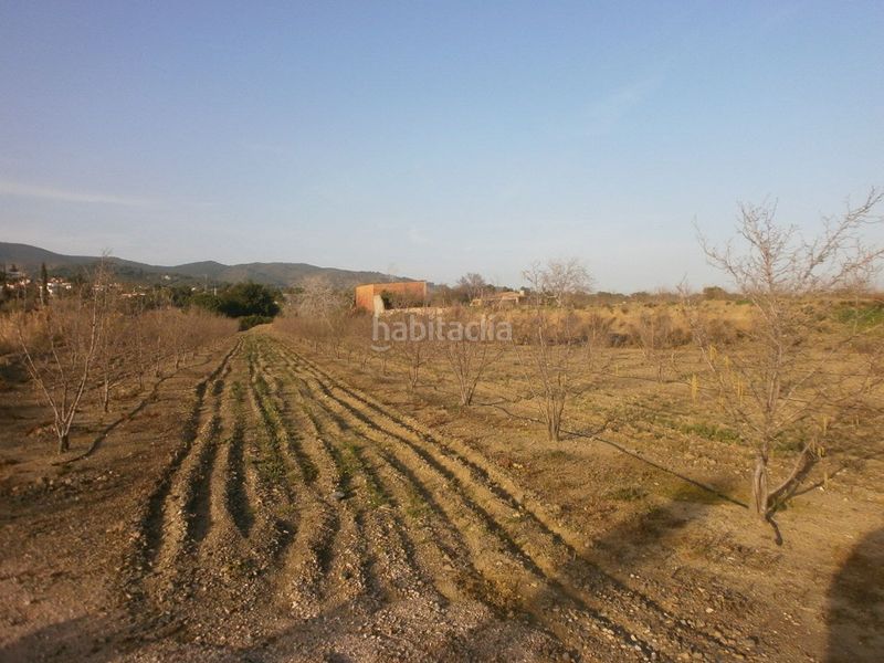 Foto af0b777a-9980-4ee6-ad15-1f5392c04688. Finca rústica a Castellvell del Camp