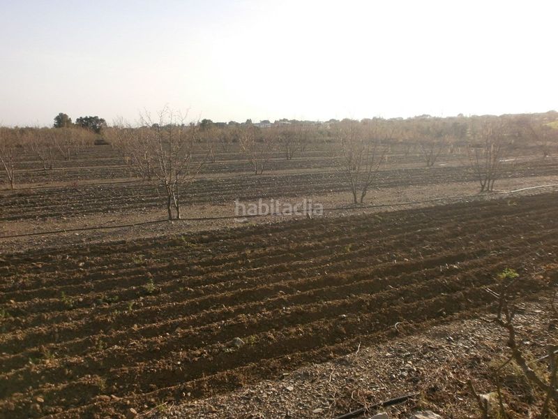 Foto c4f0c177-9440-4adc-8904-c159b1c86e63. Finca rústica a Castellvell del Camp
