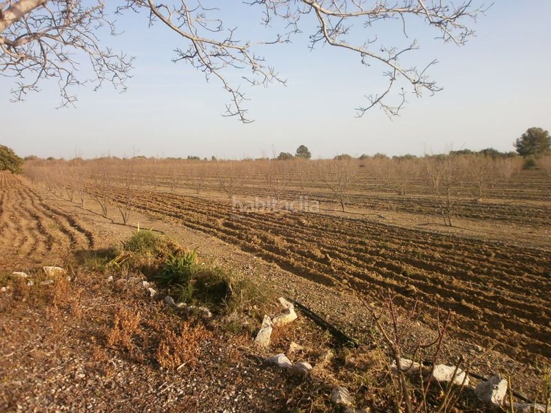 Foto c88f4b89-dad1-4f91-a269-46e59f9286c3. Finca rústica a Castellvell del Camp