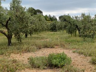 Finca rústica a Carrer Carretera del Castell