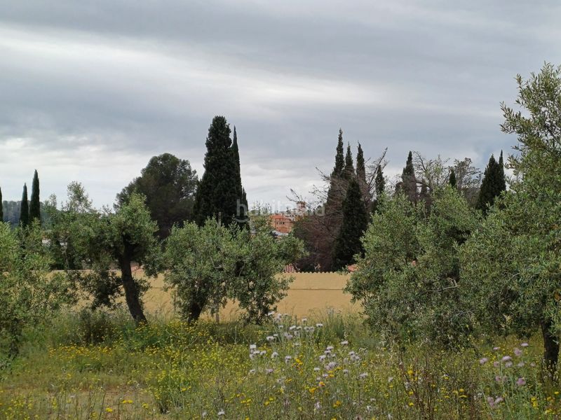 Foto 9a672705-83ad-4ade-bfea-dcaa9e80056f. Finca rústica a Riudecanyes