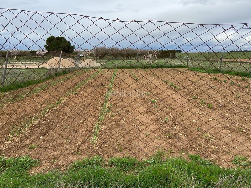 Foto e4bfabe3-f02d-4470-9f7e-bed22d14a585. Finca rústica a Pedanías - Extrarradio Albacete