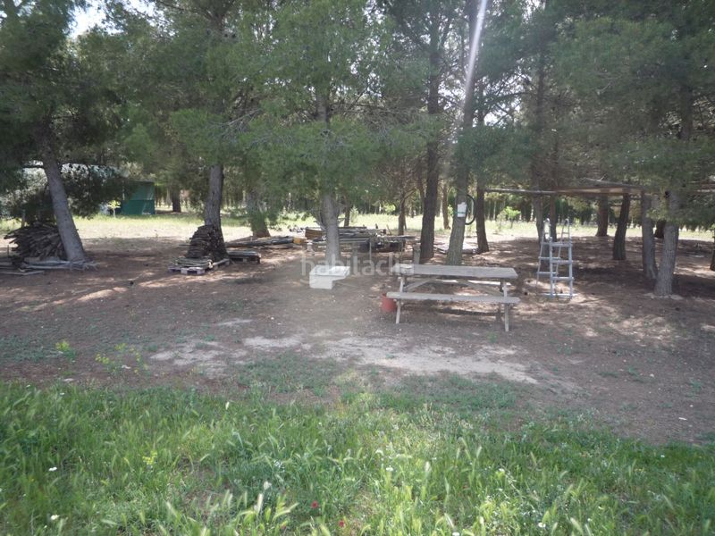 Foto ee8eb849-7637-449c-8643-9bd31fe05b4f. Finca rústica a Pedanías - Extrarradio Albacete