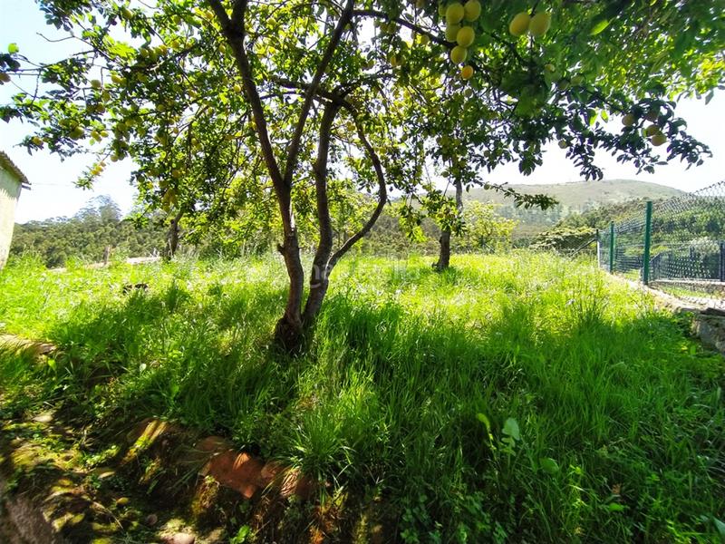 Foto 81e0711c-d697-4197-8f8d-d9071f99de45. Casa  rural y cuadra independiente panera con finca, en un pueblo precioso en el concejo , asturias. con unas vistas impr en Illas