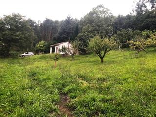 Terreny residencial  Pillarno - merujeras. pillarno. castrilln. Ref. 44009 venta. finca con caseta de aperos en pillarno