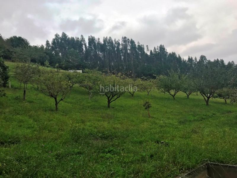 Foto 1009089a-cb1e-40aa-bd41-a343bdaef2b3. Terreno residenziale in Pillarno Castrillón