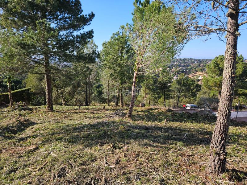 Foto 13e24974-7ede-43fe-a265-0b8201c9a9ab. Terreno residenziale in Lloret Residencial - Montlloret Lloret de Mar