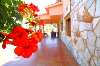 Casa  Carrer valència. Magnífica casa
