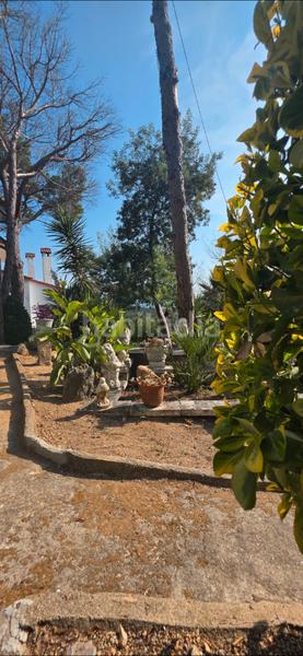 Foto affb8f5a-534e-4b43-8085-02f8933c0343. Chalet with fireplace heating parking pool in Mas Altaba - El Molí Maçanet de la Selva