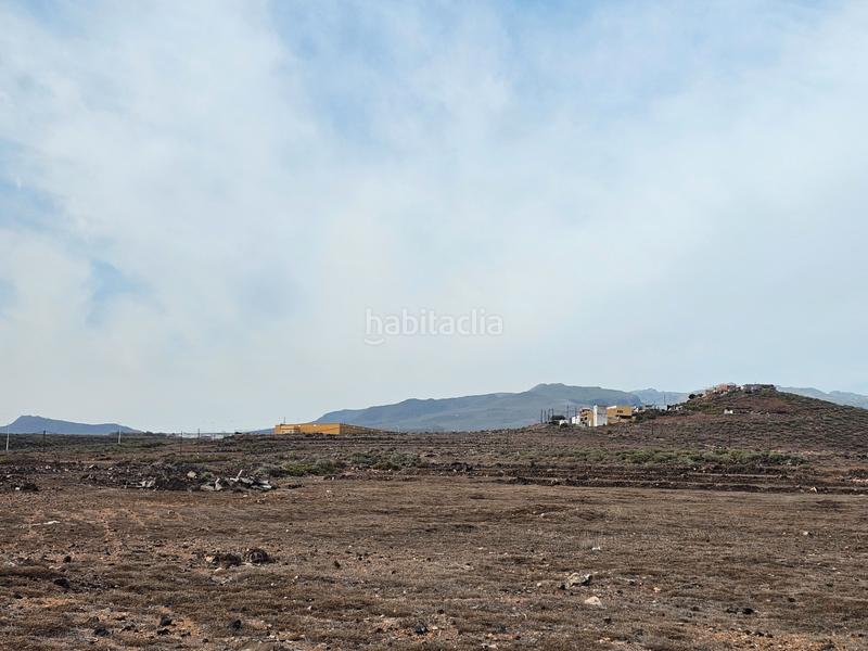 Foto 853bf2f9-0119-4d55-a882-0ace8c05c9c9. Finca rústica a Carrizal Ingenio
