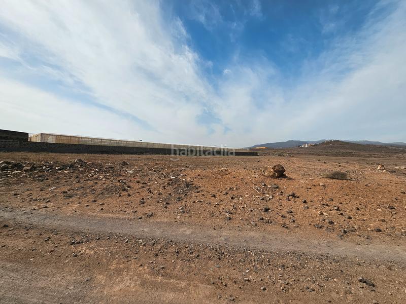 Foto 94d771a7-acaf-4770-a176-73d1be371278. Finca rústica a Carrizal Ingenio
